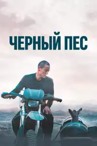 Чёрный пёс 2024